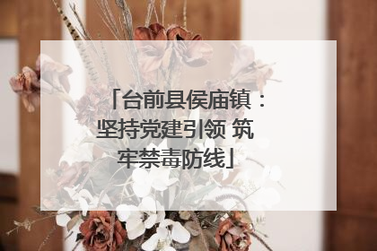 台前县侯庙镇：坚持党建引领 筑牢禁毒防线
