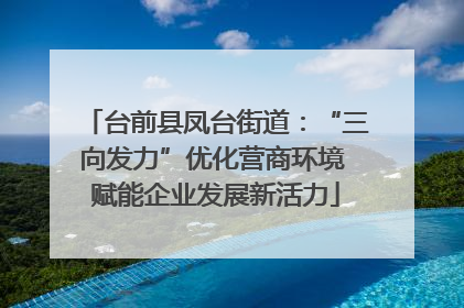 台前县凤台街道：“三向发力”优化营商环境 赋能企业发展新活力