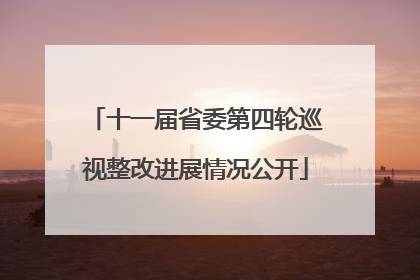 十一届省委第四轮巡视整改进展情况公开