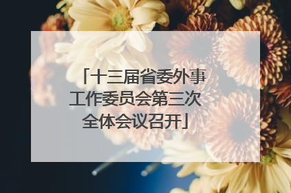 十三届省委外事工作委员会第三次全体会议召开
