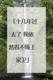 十几年过去了 我依然看不懂王家卫
