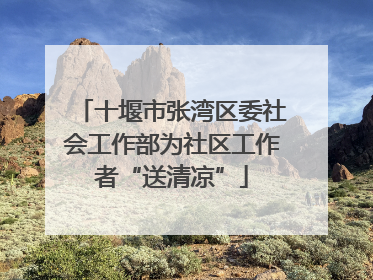 十堰市张湾区委社会工作部为社区工作者“送清凉”