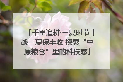 千里追耕·三夏时节丨战三夏保丰收 探索“中原粮仓”里的科技感