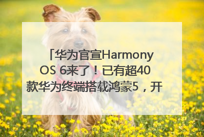 华为官宣HarmonyOS 6来了！已有超40款华为终端搭载鸿蒙5，开发者突破800万