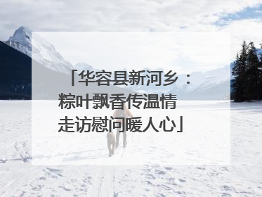 华容县新河乡：粽叶飘香传温情 走访慰问暖人心