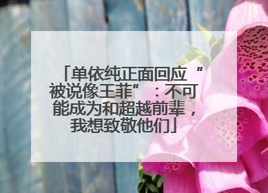 单依纯正面回应“被说像王菲”：不可能成为和超越前辈，我想致敬他们