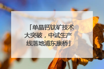 单晶钙钛矿技术大突破，中试生产线落地浦东康桥