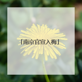 南京官宣入梅