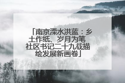 南京溧水洪蓝：乡土作纸、岁月为笔 社区书记二十九载描绘发展新画卷