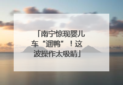 南宁惊现婴儿车“遛鸭”！这波操作太吸睛