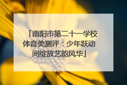 南阳市第二十一学校体音美测评：少年跃动间绽放艺韵风华