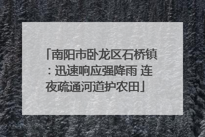 南阳市卧龙区石桥镇：迅速响应强降雨 连夜疏通河道护农田