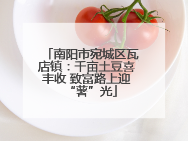 南阳市宛城区瓦店镇：千亩土豆喜丰收 致富路上迎“薯”光