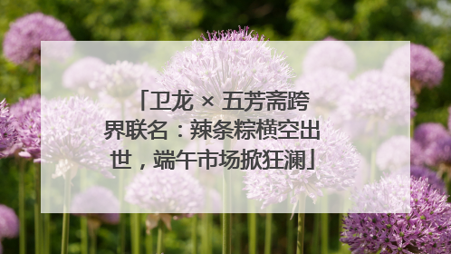 卫龙 × 五芳斋跨界联名：辣条粽横空出世，端午市场掀狂澜
