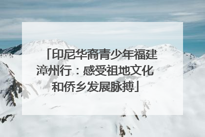 印尼华裔青少年福建漳州行：感受祖地文化和侨乡发展脉搏