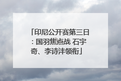 印尼公开赛第三日：国羽焦点战 石宇奇、李诗沣领衔