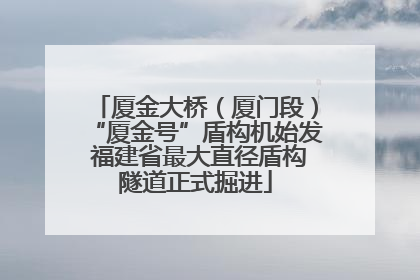 厦金大桥（厦门段）“厦金号”盾构机始发 福建省最大直径盾构隧道正式掘进