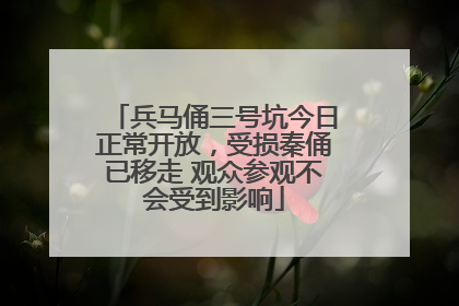 兵马俑三号坑今日正常开放，受损秦俑已移走 观众参观不会受到影响
