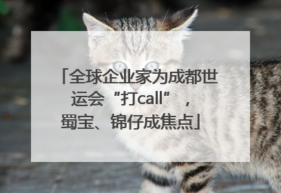 全球企业家为成都世运会“打call”，蜀宝、锦仔成焦点