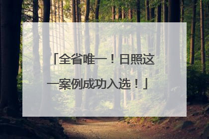 全省唯一！日照这一案例成功入选！