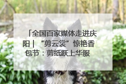 全国百家媒体走进庆阳｜“剪云裳”惊艳香包节：剪纸跃上华服 非遗焕发新彩
