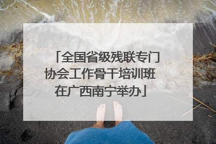 全国省级残联专门协会工作骨干培训班在广西南宁举办