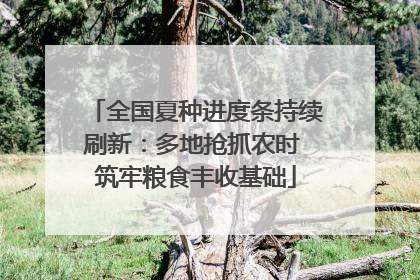 全国夏种进度条持续刷新：多地抢抓农时 筑牢粮食丰收基础