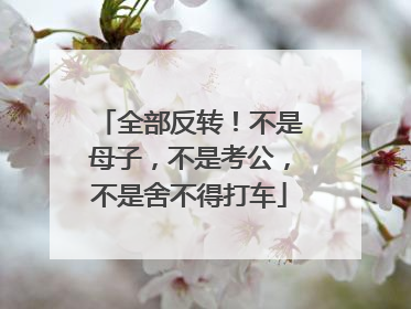 全部反转！不是母子，不是考公，不是舍不得打车