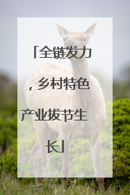 全链发力，乡村特色产业拔节生长