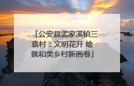 公安县孟家溪镇三袁村：文明花开 绘就和美乡村新画卷