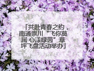 共赴青春之约,南通崇川“飞你莫属 心漾绿茵”草坪飞盘活动举办