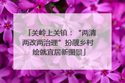 关岭上关镇：“两清两改两治理”扮靓乡村 绘就宜居新图景