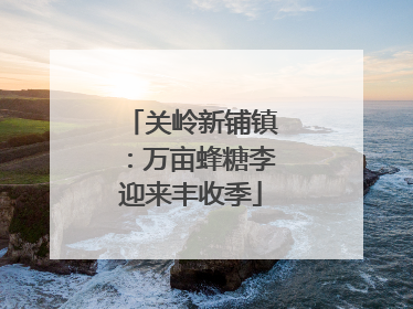 关岭新铺镇：万亩蜂糖李迎来丰收季