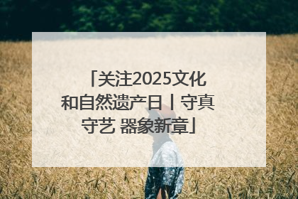 关注2025文化和自然遗产日丨守真守艺 器象新章
