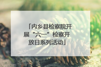 内乡县检察院开展“六一”检察开放日系列活动