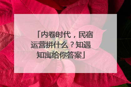 内卷时代，民宿运营拼什么？知遇知寓给你答案