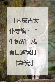 内蒙古太仆寺旗：“牛奶湖”成夏日避暑打卡新宠
