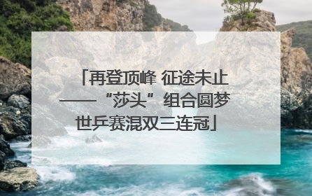 再登顶峰 征途未止——“莎头”组合圆梦世乒赛混双三连冠