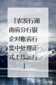农发行湖南省分行银企对账省行集中处理正式上线运行