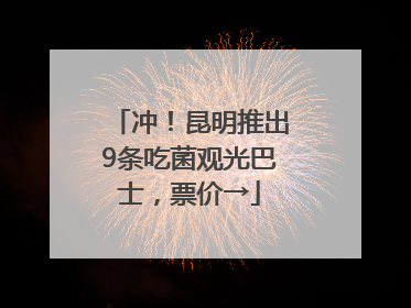 冲！昆明推出9条吃菌观光巴士，票价→