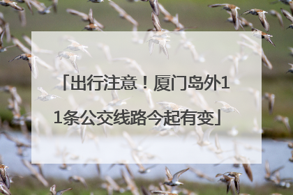 出行注意！厦门岛外11条公交线路今起有变