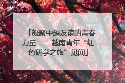 凝聚中越友谊的青春力量——越南青年“红色研学之旅”见闻