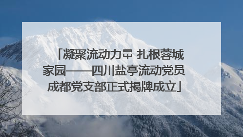 凝聚流动力量 扎根蓉城家园——四川盐亭流动党员成都党支部正式揭牌成立