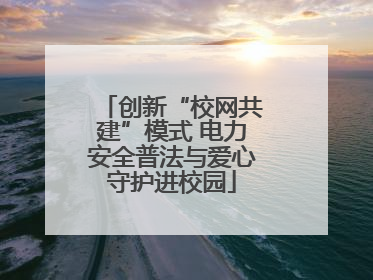 创新“校网共建”模式 电力安全普法与爱心守护进校园