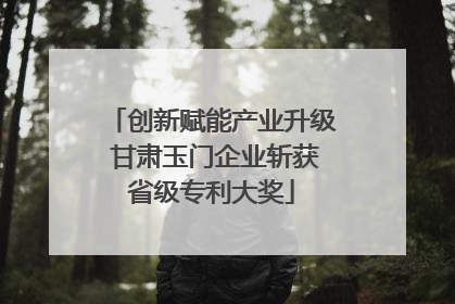 创新赋能产业升级 甘肃玉门企业斩获省级专利大奖