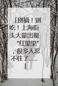 别摘！别吃！上海街头大量出现“红果果”，很多人忍不住了……