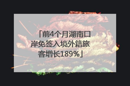 前4个月湖南口岸免签入境外籍旅客增长189%