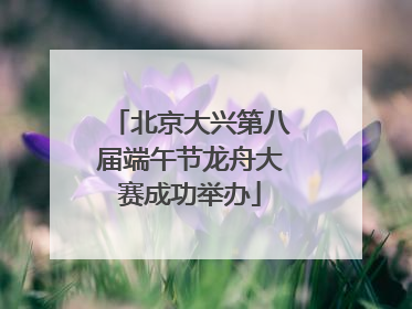 北京大兴第八届端午节龙舟大赛成功举办