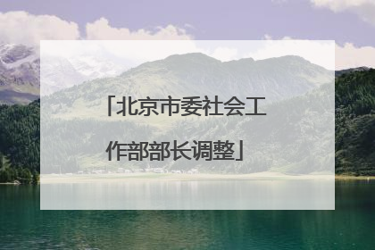 北京市委社会工作部部长调整