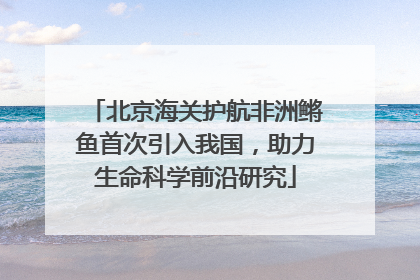 北京海关护航非洲鳉鱼首次引入我国，助力生命科学前沿研究